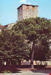 Torre Medioevale (sec. XIII)