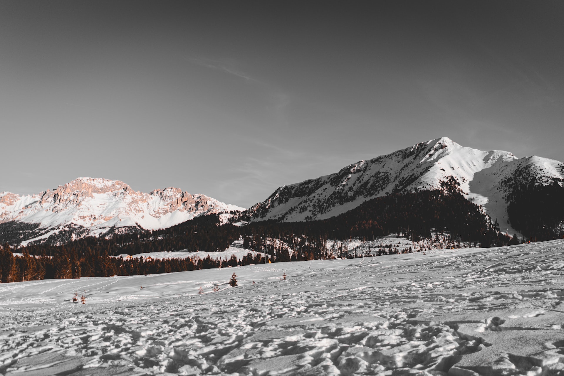 alex_rainer-lKPprlKYlbM-unsplash