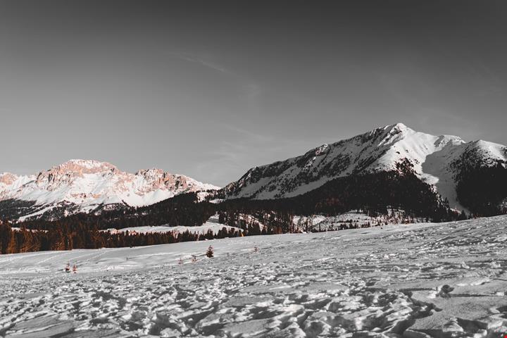 alex_rainer-lKPprlKYlbM-unsplash