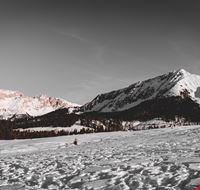alex_rainer-lKPprlKYlbM-unsplash alex_rainer-lKPprlKYlbM-unsplash