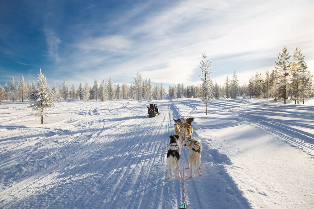 5 esperienze da fare sulla neve oltre agli sci | PaesiOnLine