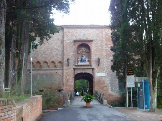  Asciano LAVINIA BERTI LAVINIA BERTI