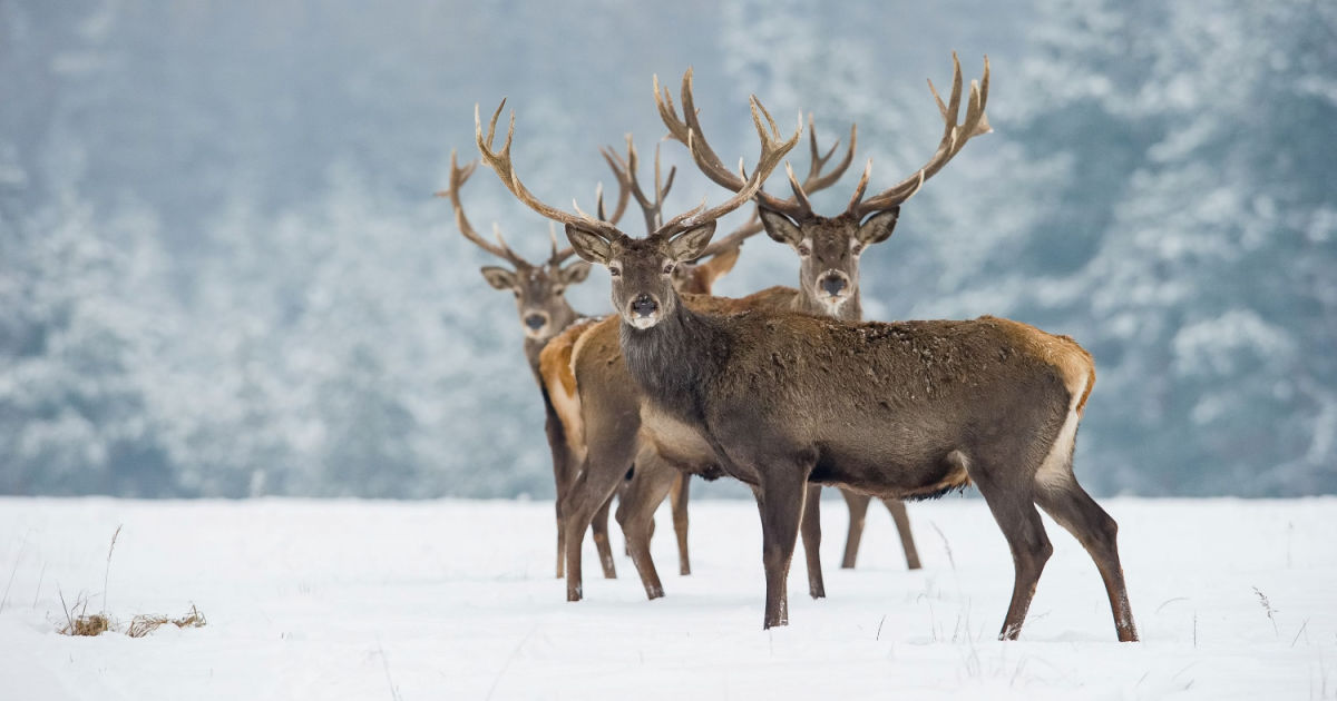 In Trentino senza sci: ecco 5 località dove si vive la vera montagna | PaesiOnline