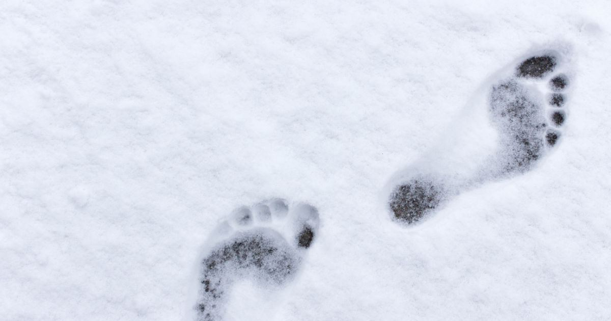 In Trentino senza sci: ecco 5 località dove si vive la vera montagna | PaesiOnline