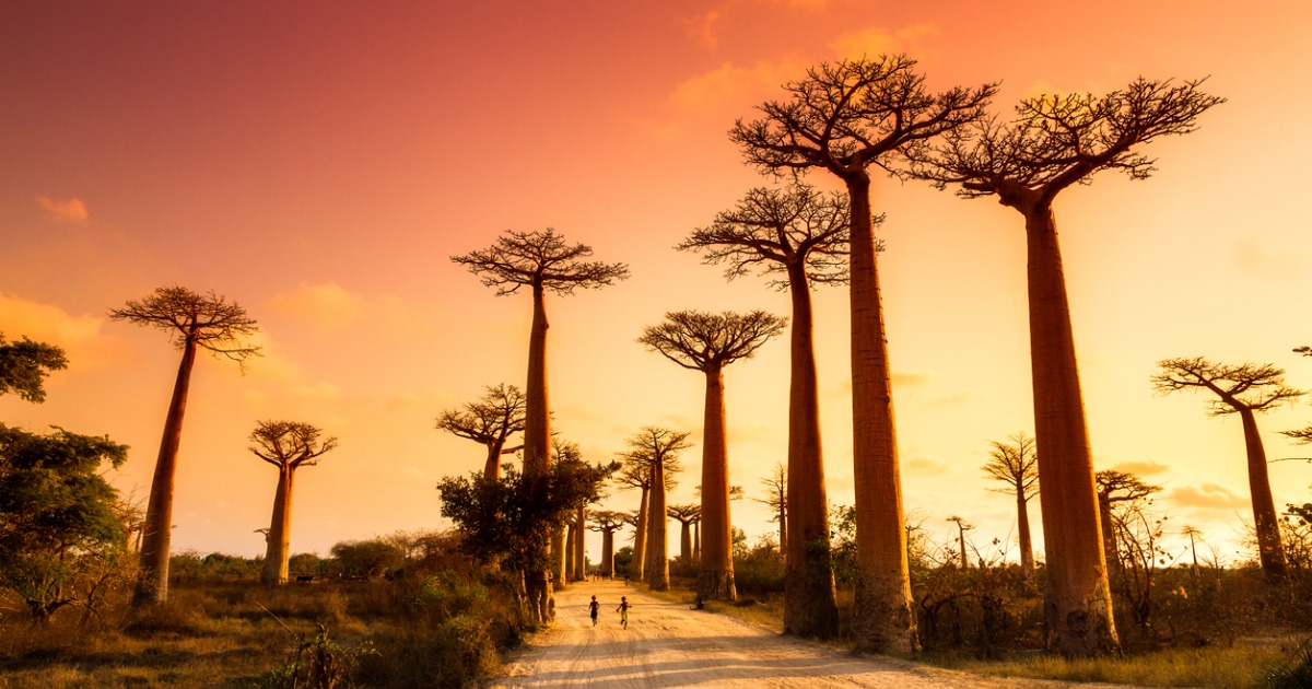 Madagascar