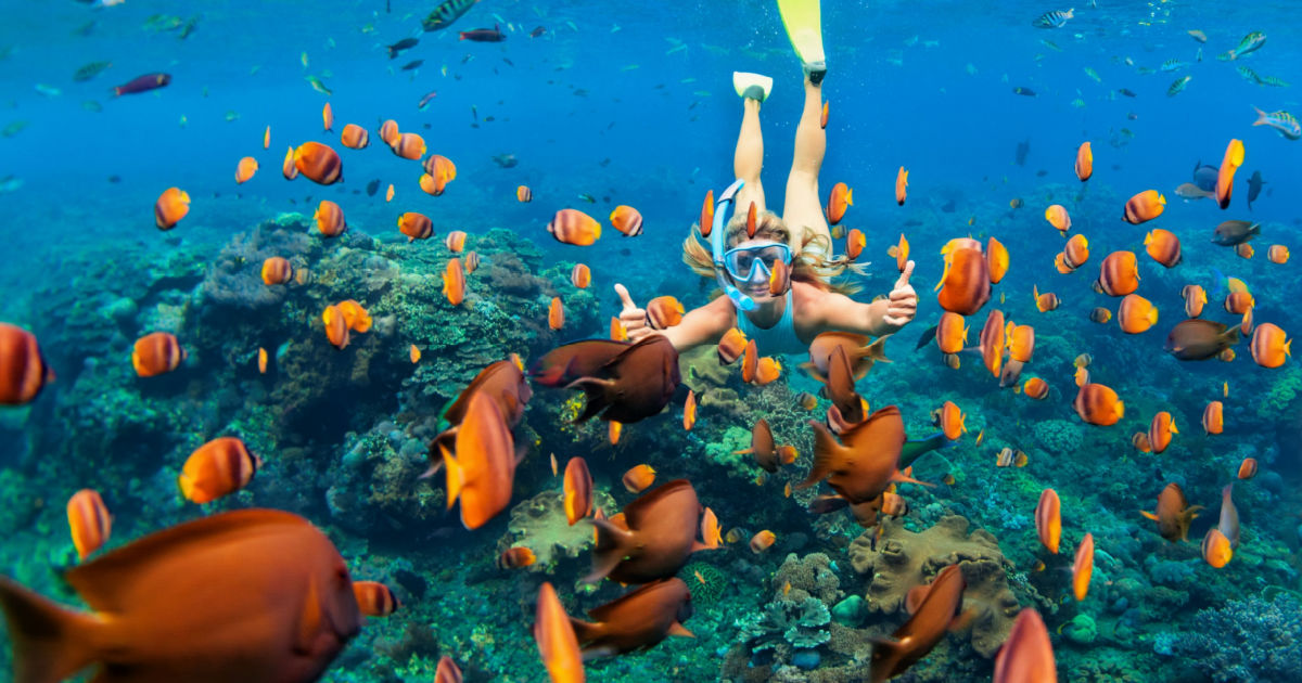 Stufi del freddo? Ecco perchè volare alle Maldive per una settimana bianca al caldo | PaesiOnLine