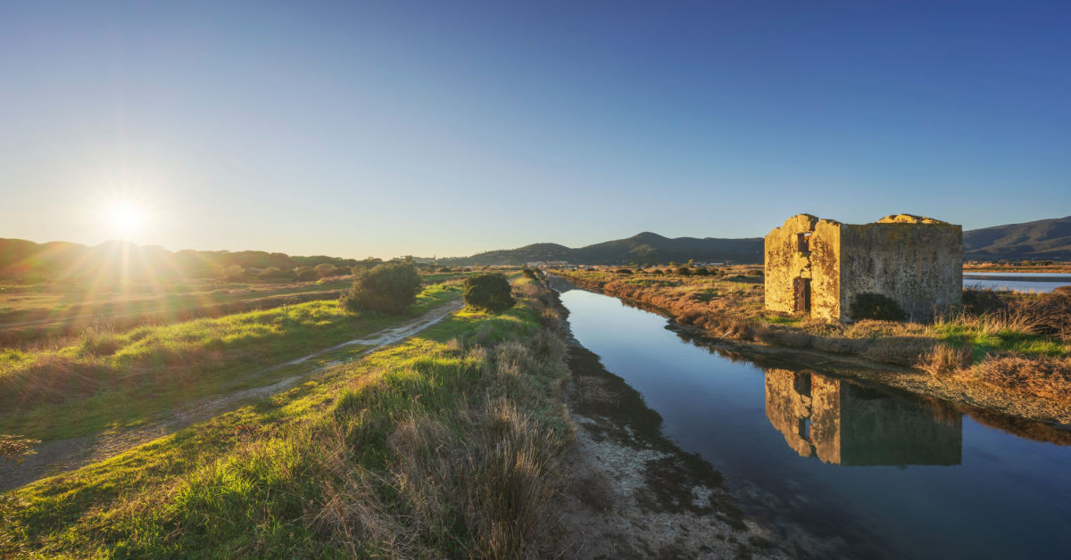 Ecco perchè la Toscana è la capitale italiana del green | PaesiOnLine