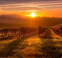 tramonto tramonto