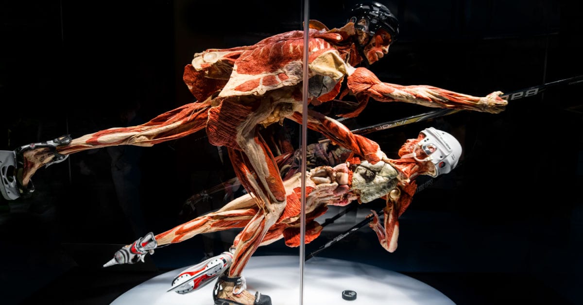 Lo strano si mette in mostra! Ecco 5 installazioni insolite da non perdere nel 2023