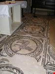 particolare dell'antico mosaico