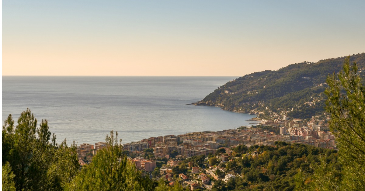 La Riviera dei Fiori: ecco dove la mimosa cresce spontanea e crea uno spettacolo unico | PaesiOnLine