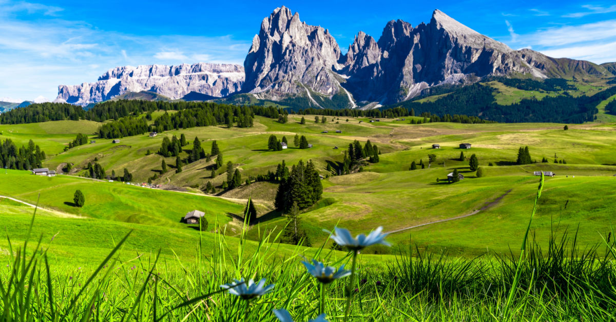 Ecco come il mondo festeggia la Primavera: tutti gli eventi che sbocciano insieme alla bella stagione | PaesiOnLine