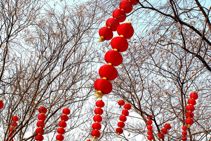 Ecco come il mondo festeggia la Primavera: tutti gli eventi che sbocciano insieme alla bella stagione | PaesiOnLine