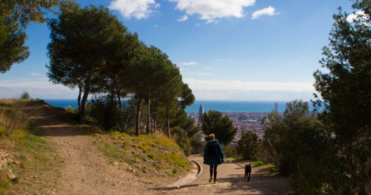  Quali sono i luoghi più insoliti da scoprire a Barcellona? Ecco l’itinerario segreto per i turisti più curiosi | PaesiOnLine 