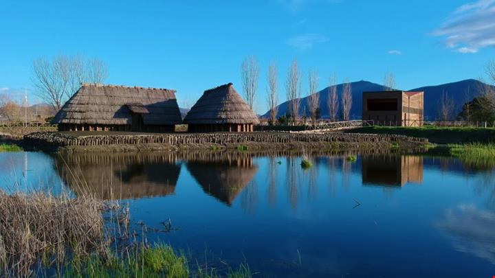 LONGOLA 3