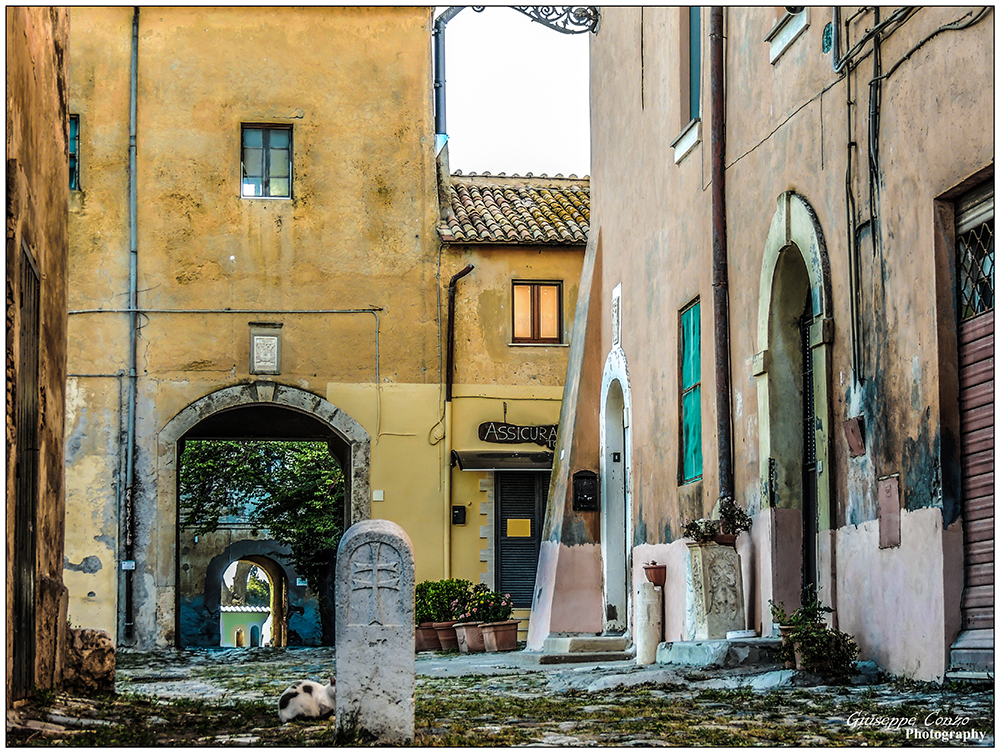 Scorcio