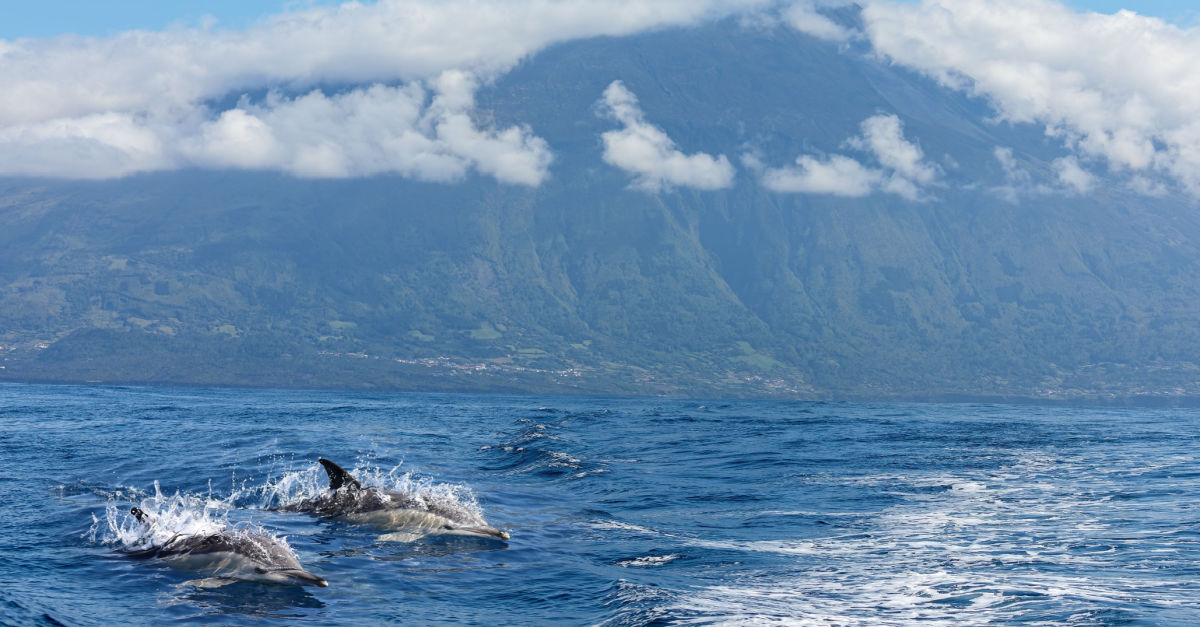 Le Hawaii d'Europa sono belle come quelle vere, ma molto più economiche e più vicine di quanto pensi