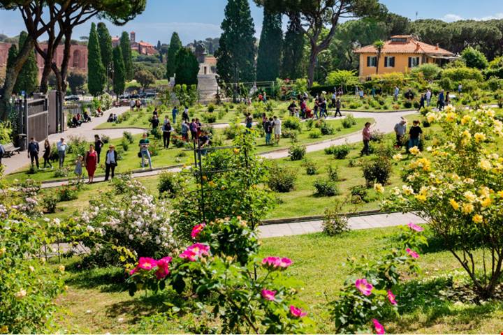 Il roseto di Roma, una meravigliosa terrazza fiorita sulla storia più antica della Capitale | PaesiOnLine