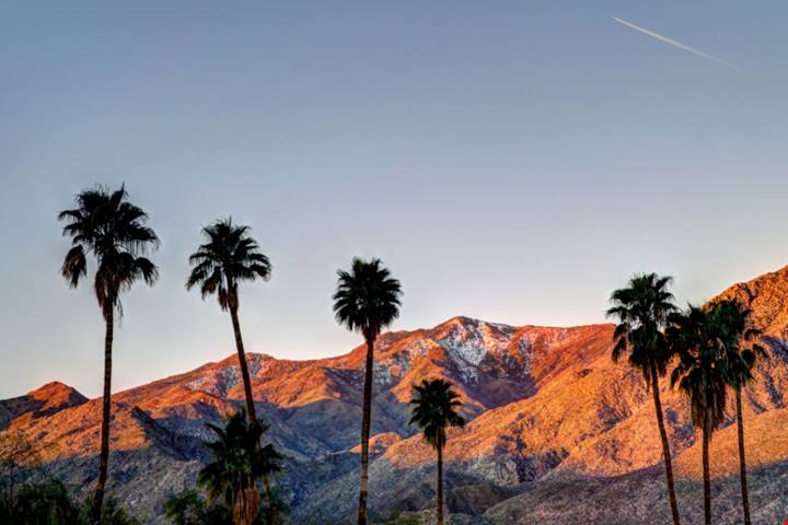 Coachella 2023, tutto quello che devi sapere sul festival più trendy dell'anno