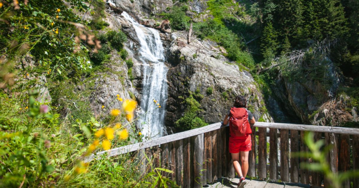 Alla scoperta della natura variopinta dell'estate a Plan de Corones | PaesiOnLine