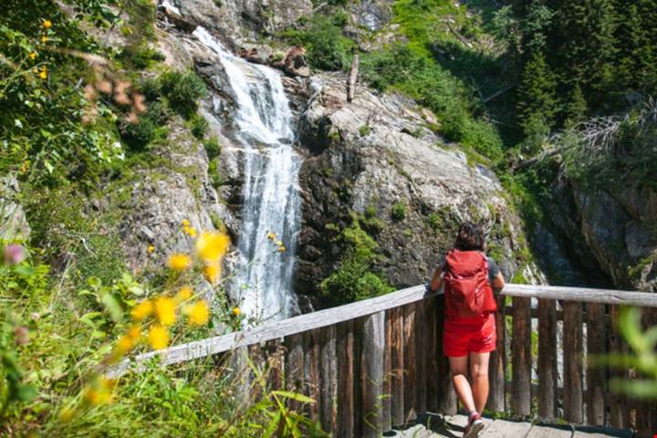 Alla scoperta della natura variopinta dell'estate a Plan de Corones | PaesiOnLine