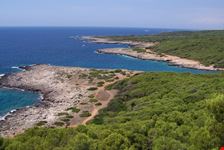 le scogliere
