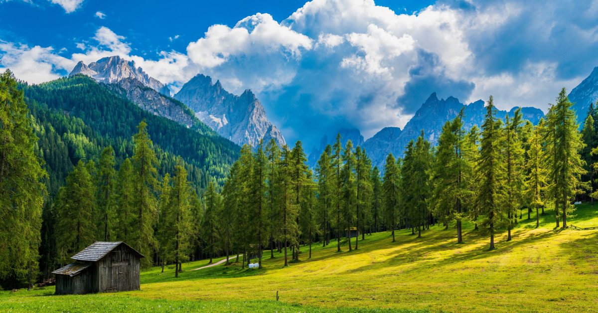Un'Estate nel segno del green: 3 luoghi in Italia dove l'ambiente è promosso e rispettato | PaesiOnLine