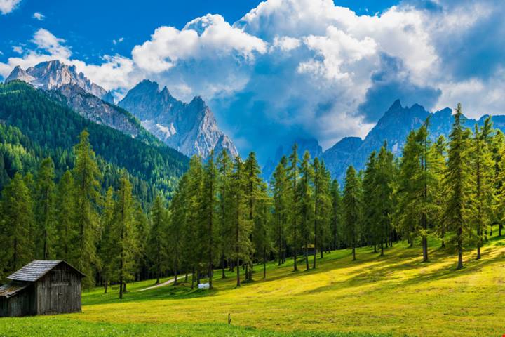 Un'Estate nel segno del green: 3 luoghi in Italia dove l'ambiente è promosso e rispettato | PaesiOnLine