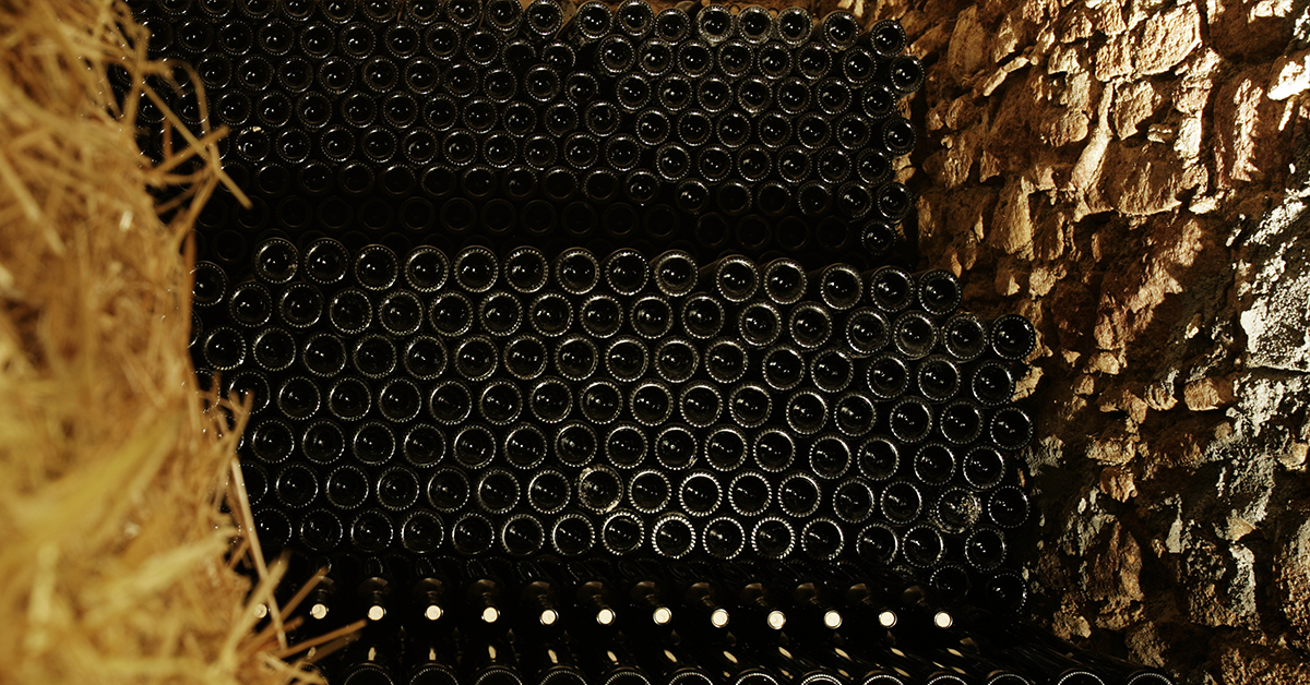 Viaggio tra i Vini dei Monti Dauni