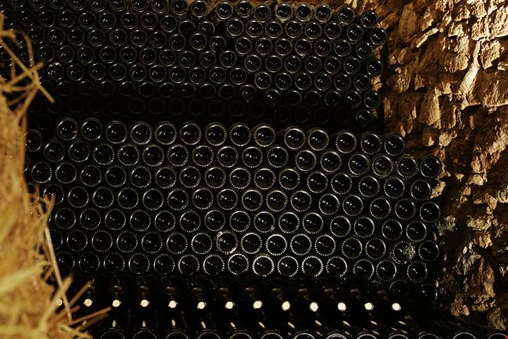 Viaggio tra i Vini dei Monti Dauni