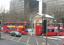 I bus di Londra