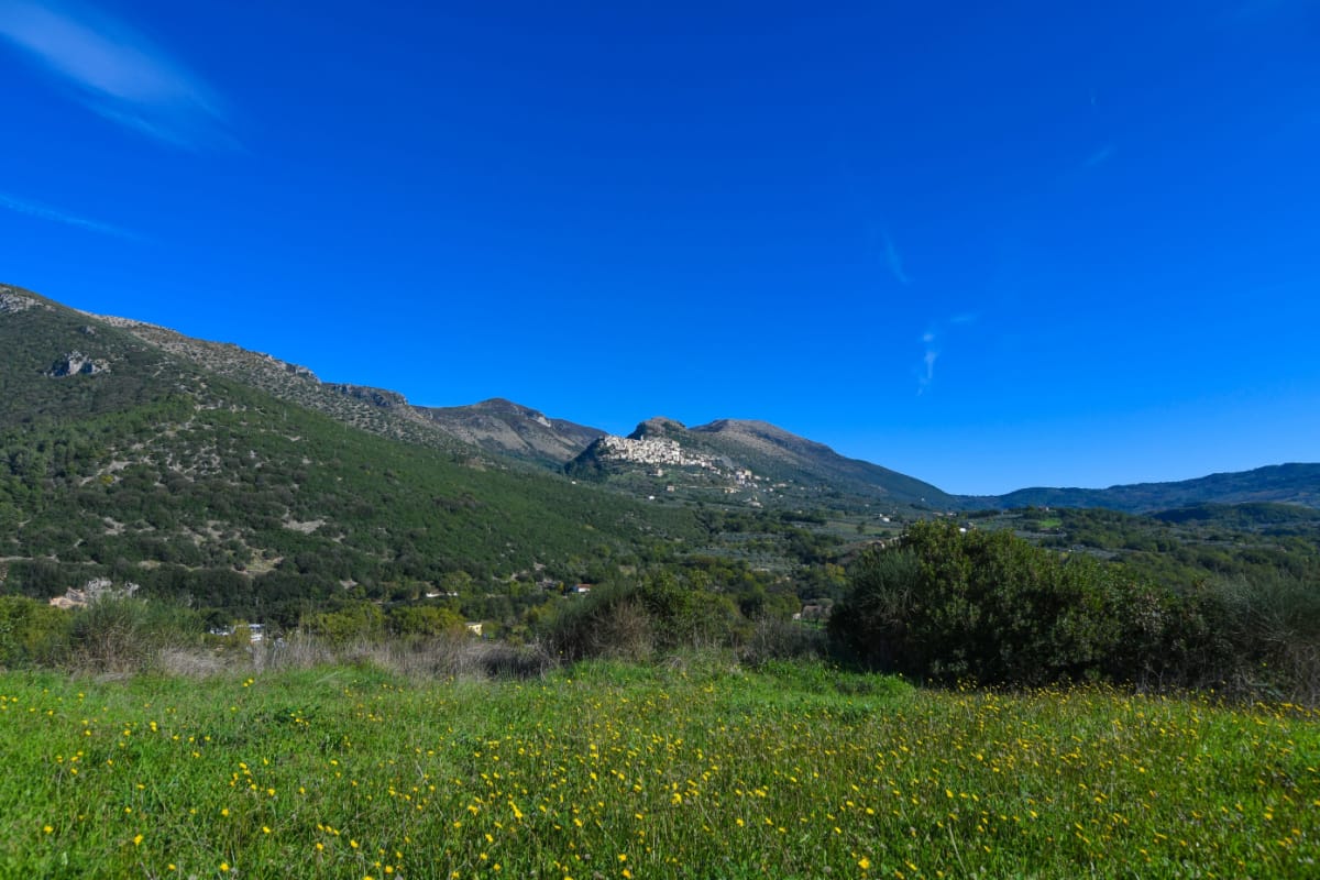 colline-Salernitane_2158513345