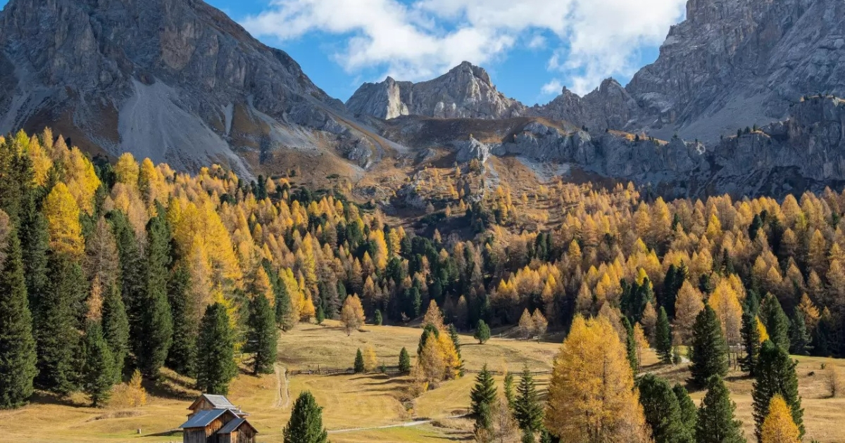Progetto senza titolo (21)