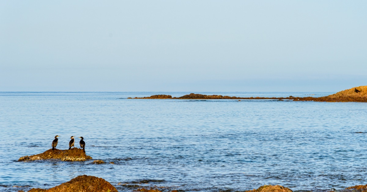 In Corsica c'è un'isoletta disabitata che sembra immersa in una piscina naturale: è un'esperienza mozzafiato | PaesiOnLine 