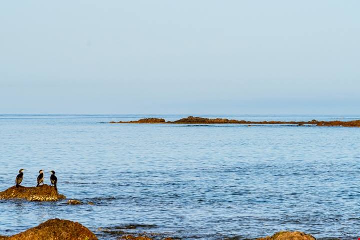 In Corsica c'è un'isoletta disabitata che sembra immersa in una piscina naturale: è un'esperienza mozzafiato | PaesiOnLine