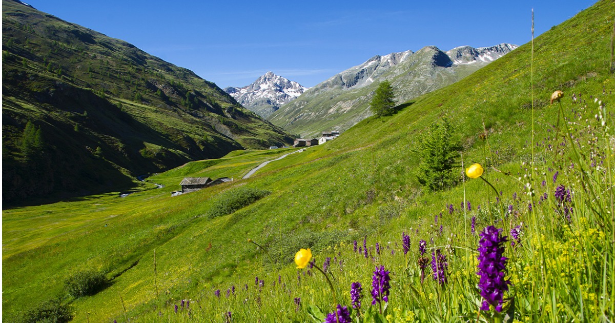 In Italia c'è un piccolo Tibet, si trova in Lombardia ed ha un paesaggio incredibile | PaesiOnLine