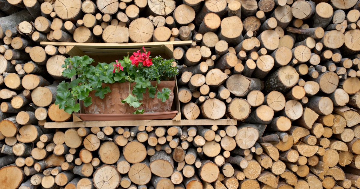 Ai piedi delle Pale di San Martino c'è un borgo fatato, fatto di legno e pietra: una vera magia 