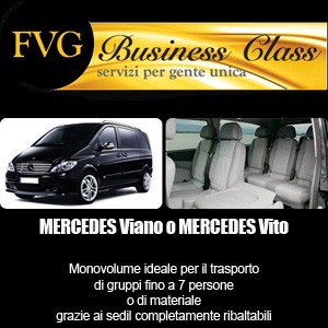 Mercedes Viano o Vito con autista