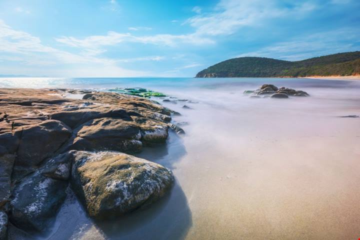 In provincia di Grosseto c'è un vero e proprio paradiso incontaminato: parliamo di una spiaggia davvero esclusiva | PaesiOnLine