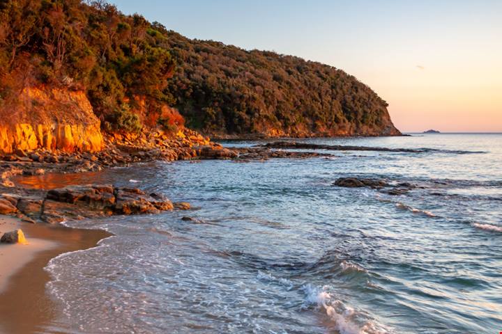 In provincia di Grosseto c'è un vero e proprio paradiso incontaminato: parliamo di una spiaggia davvero esclusiva | PaesiOnLine