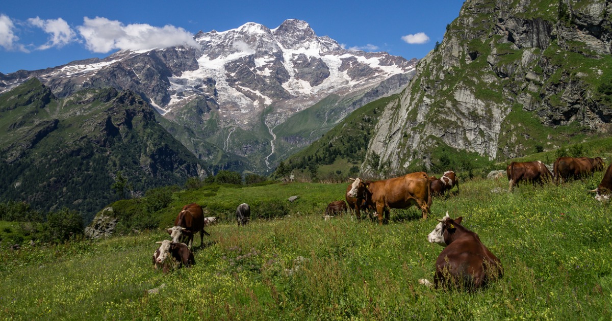 La valle giusta per una passeggiata settembrina: cosa aspetti a correre in Piemonte, è uno scenario da film! | PaesiOnLine