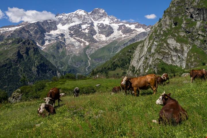 La valle giusta per una passeggiata settembrina: cosa aspetti a correre in Piemonte, è uno scenario da film! | PaesiOnLine