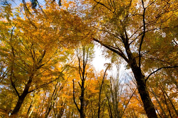 Un autunno “fuori stagione”: 3 idee per una vacanza originale e sincera | PaesiOnLine