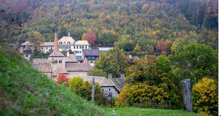 vista borgo svizzero e prati