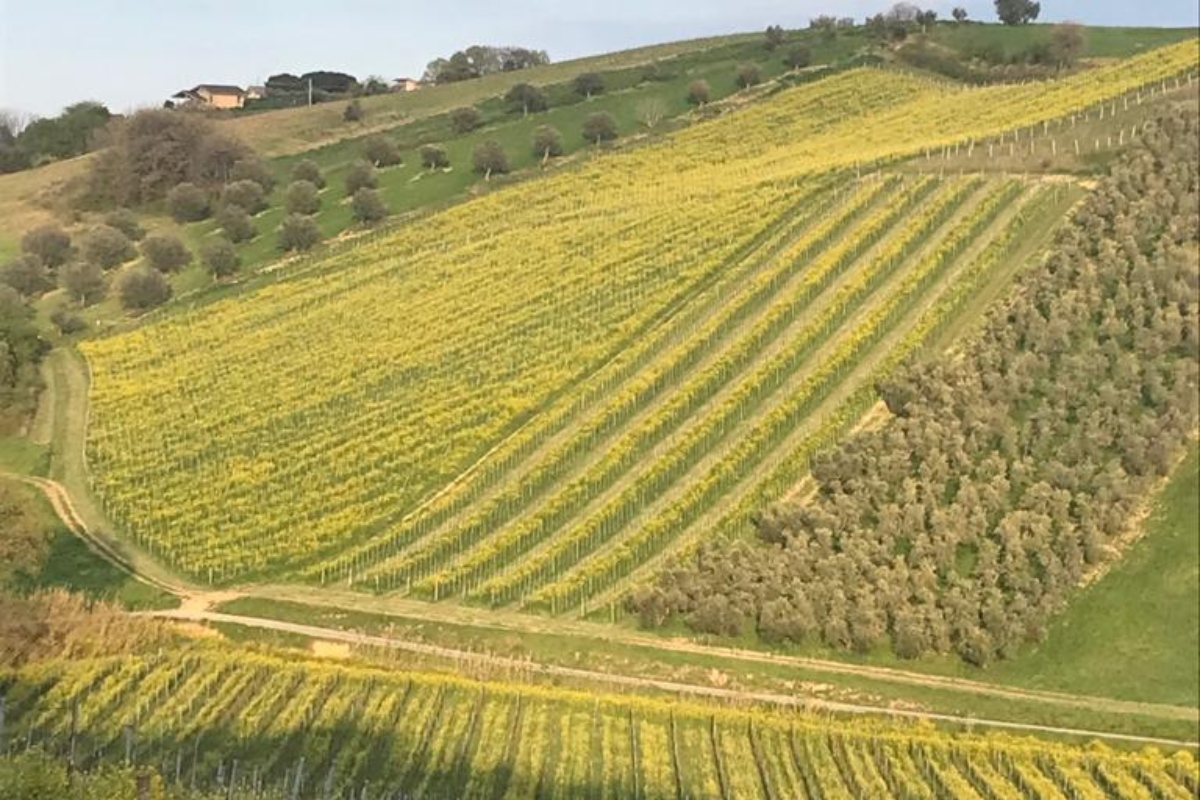 Alla scoperta delle ricchezze dell'Abruzzo del Nord grazie all'ambizioso progetto Cuoco di Bordo | PaesiOnLine