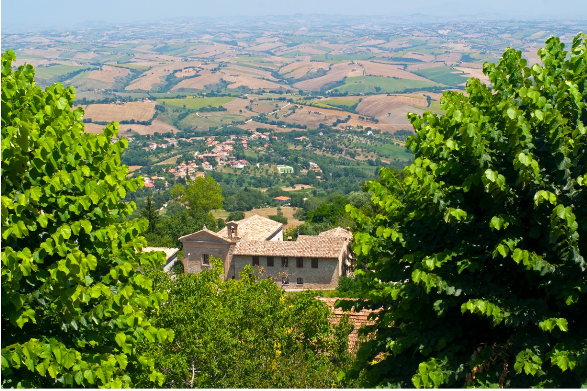cingoli