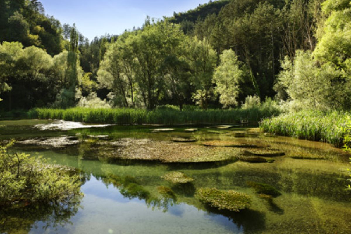 Quasi nascosto tra i panorami montani della Valnerina, questo magico borgo in Umbria è uno dei più belli d'Italia  