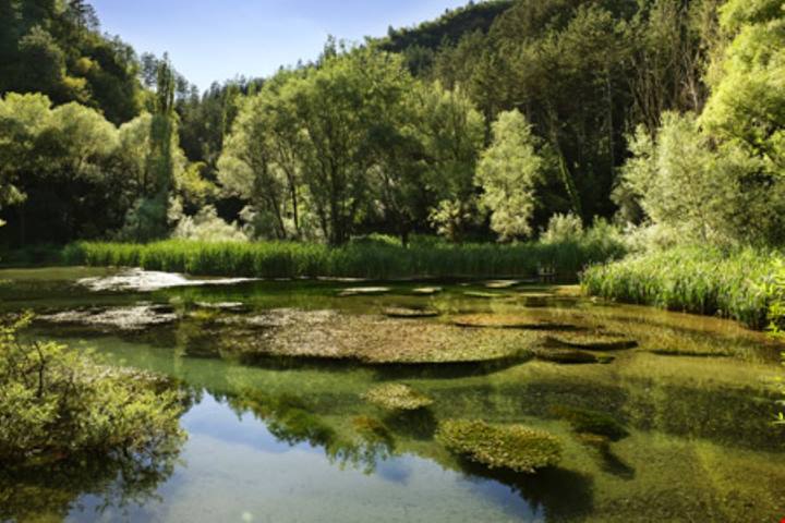 Quasi nascosto tra i panorami montani della Valnerina, questo magico borgo in Umbria è uno dei più belli d'Italia