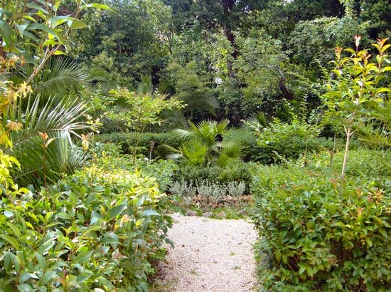 Scorcio del giardino