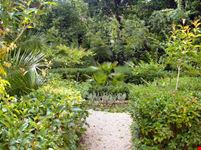 Scorcio del giardino